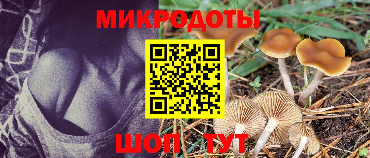 Галлюциногенные грибы MAGIC MUSHROOMS  Вход с VPN  Сарапул 
